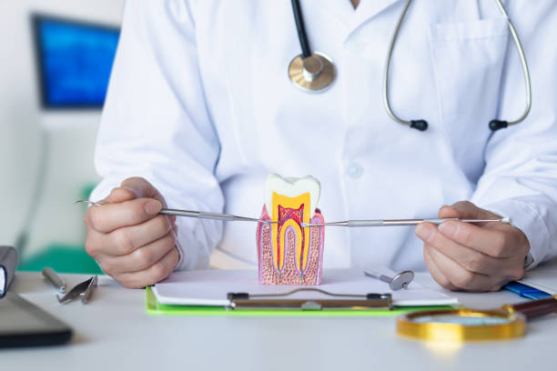Best 24-Hour Emergency Dental Care in San Lorenzo, CA